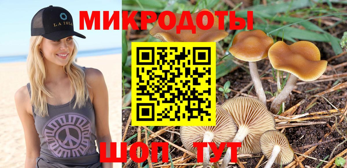 Галлюциногенные грибы GOLDEN TEACHER Елабуга
