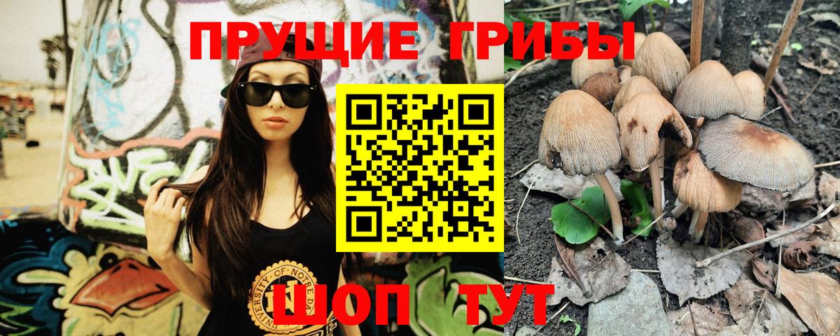 Галлюциногенные грибы Magic Shrooms  Вход с VPN  Елабуга 